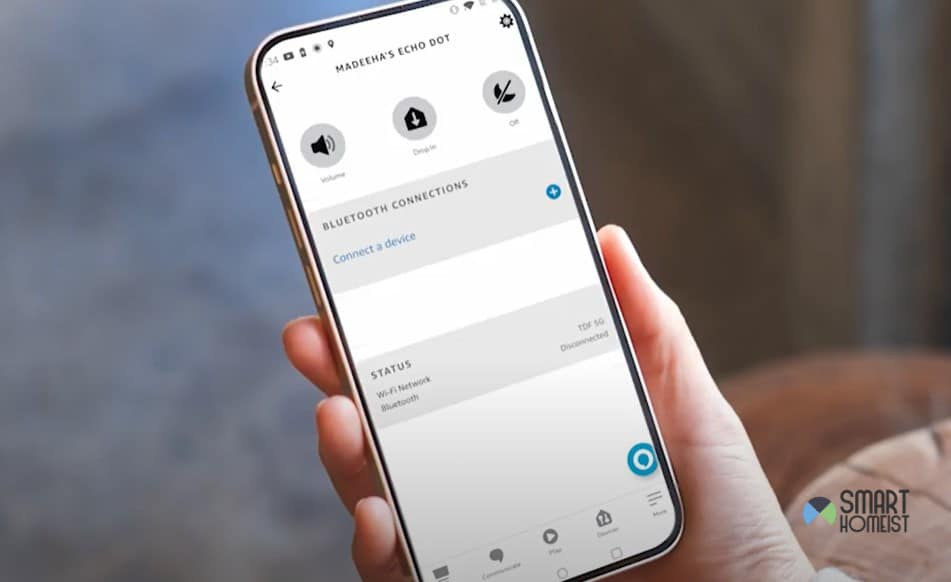 echo dot settings