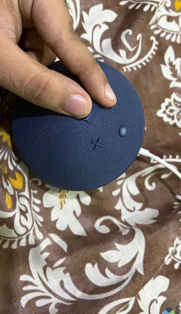 reset echo dot