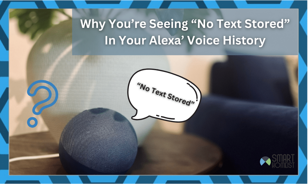 alexa no text stored