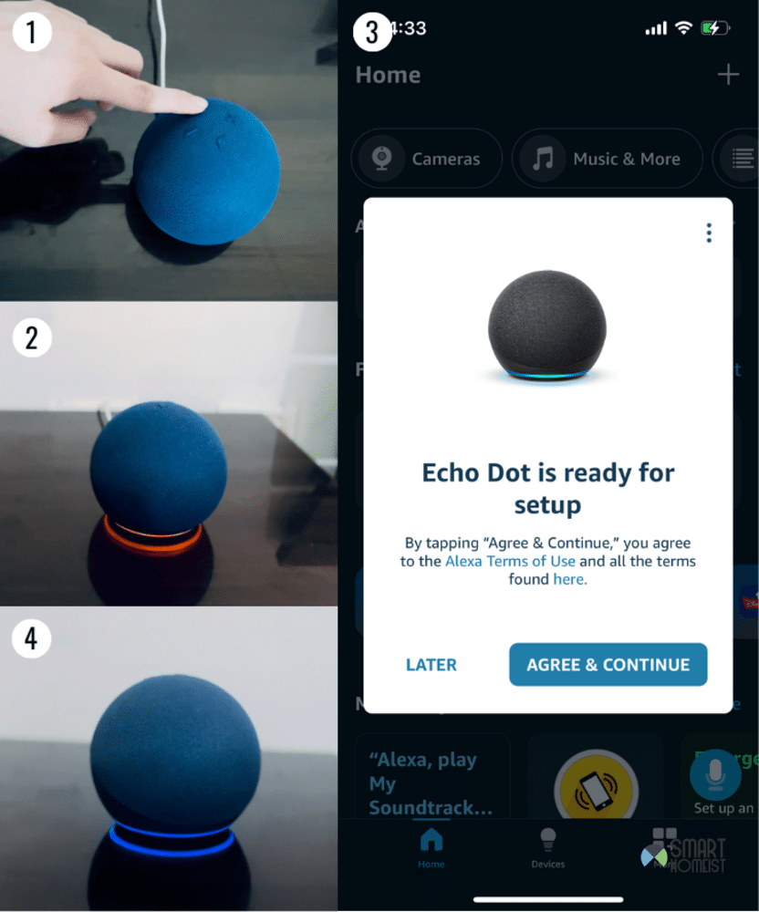 reset alexa