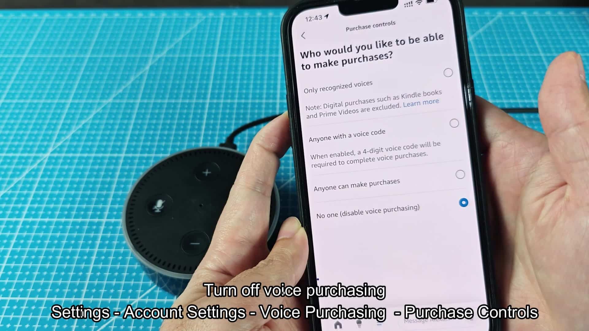 Confirming voice purchasing disabled dialog Confirming voice purchasing disabled dialog