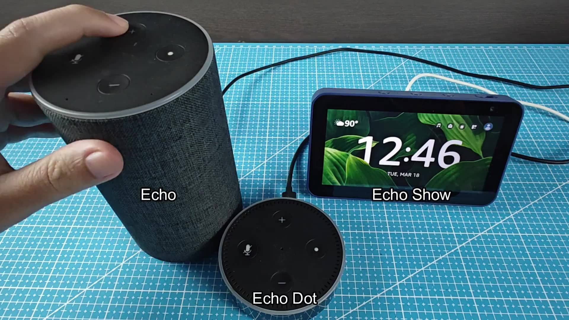 Echo Dot and Echo lineup shown Echo Dot and Echo lineup shown