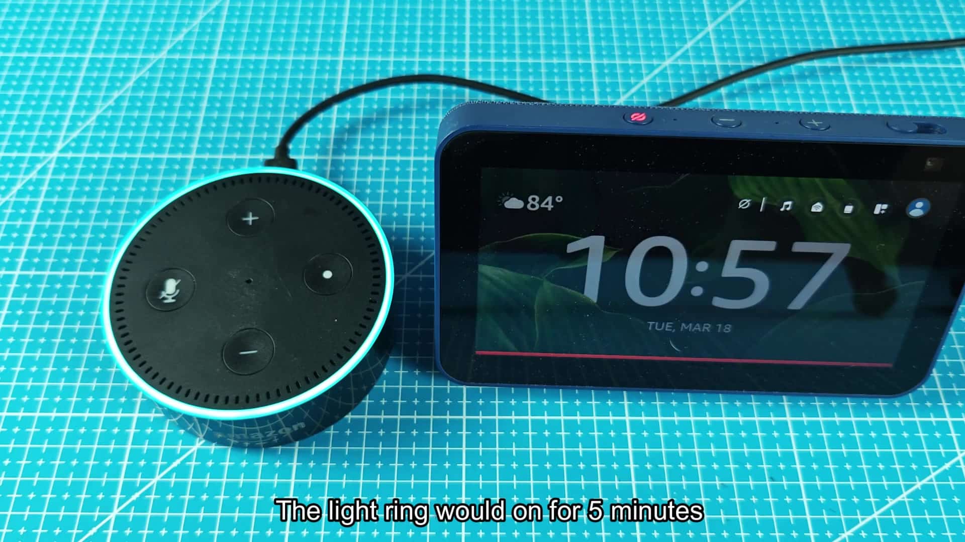 Echo Dot and Echo Show devices Echo Dot and Echo Show devices