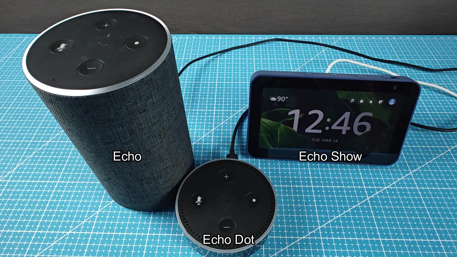 Echo Dot top button highlighted clearly Echo Dot top button highlighted clearly