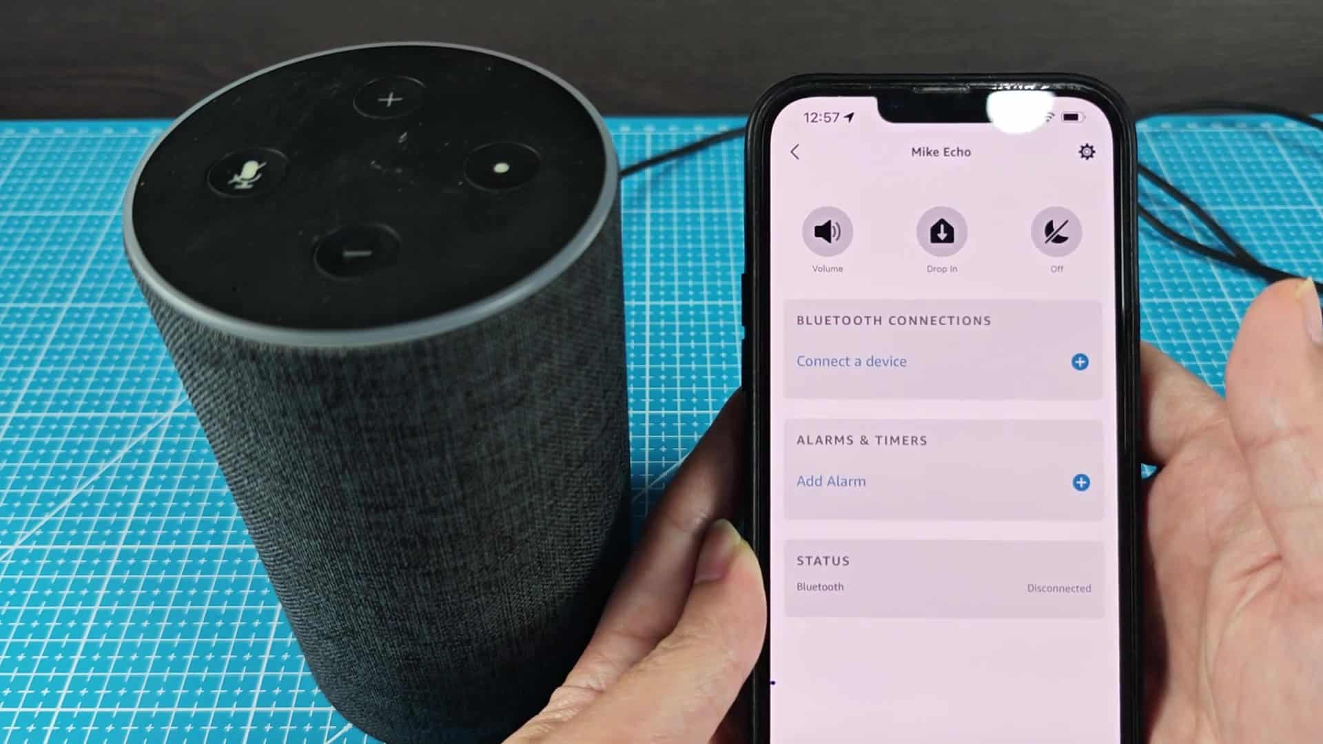 Mike Echo device settings page Mike Echo device settings page