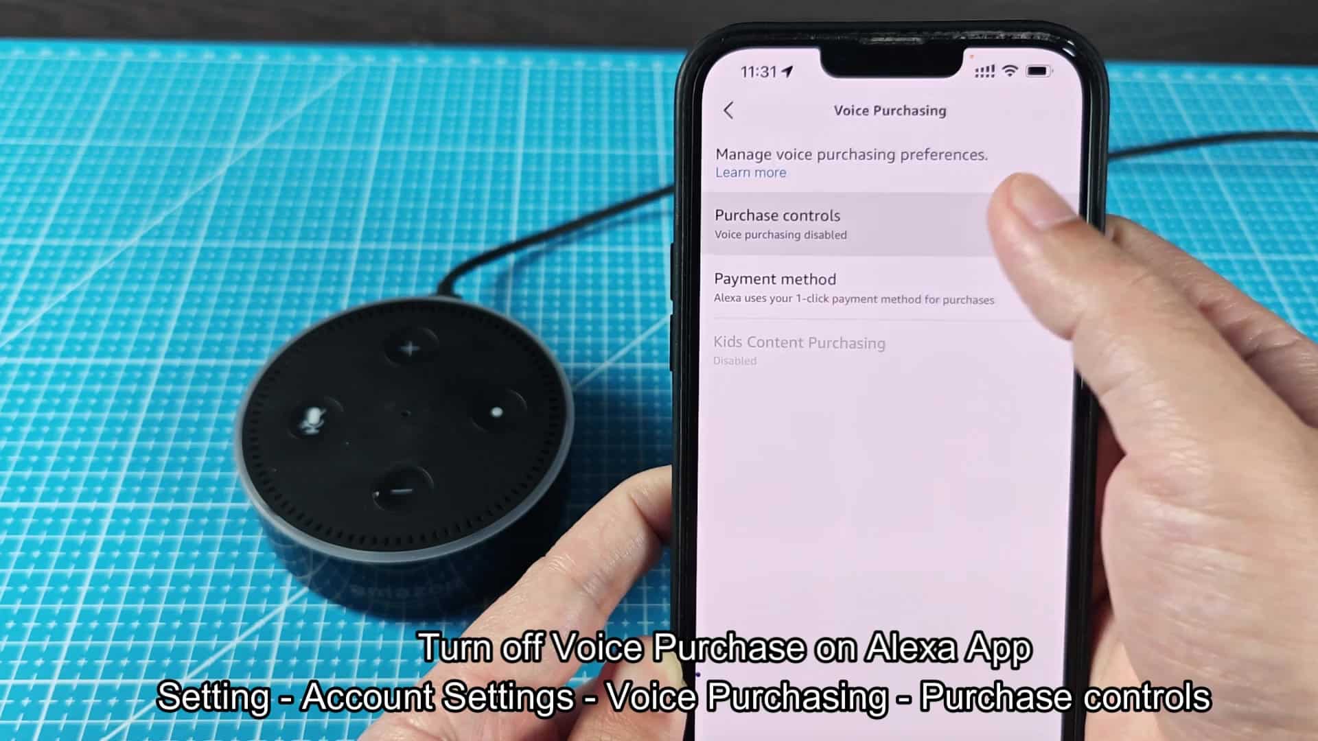 Purchase controls voice recognition options Purchase controls voice recognition options