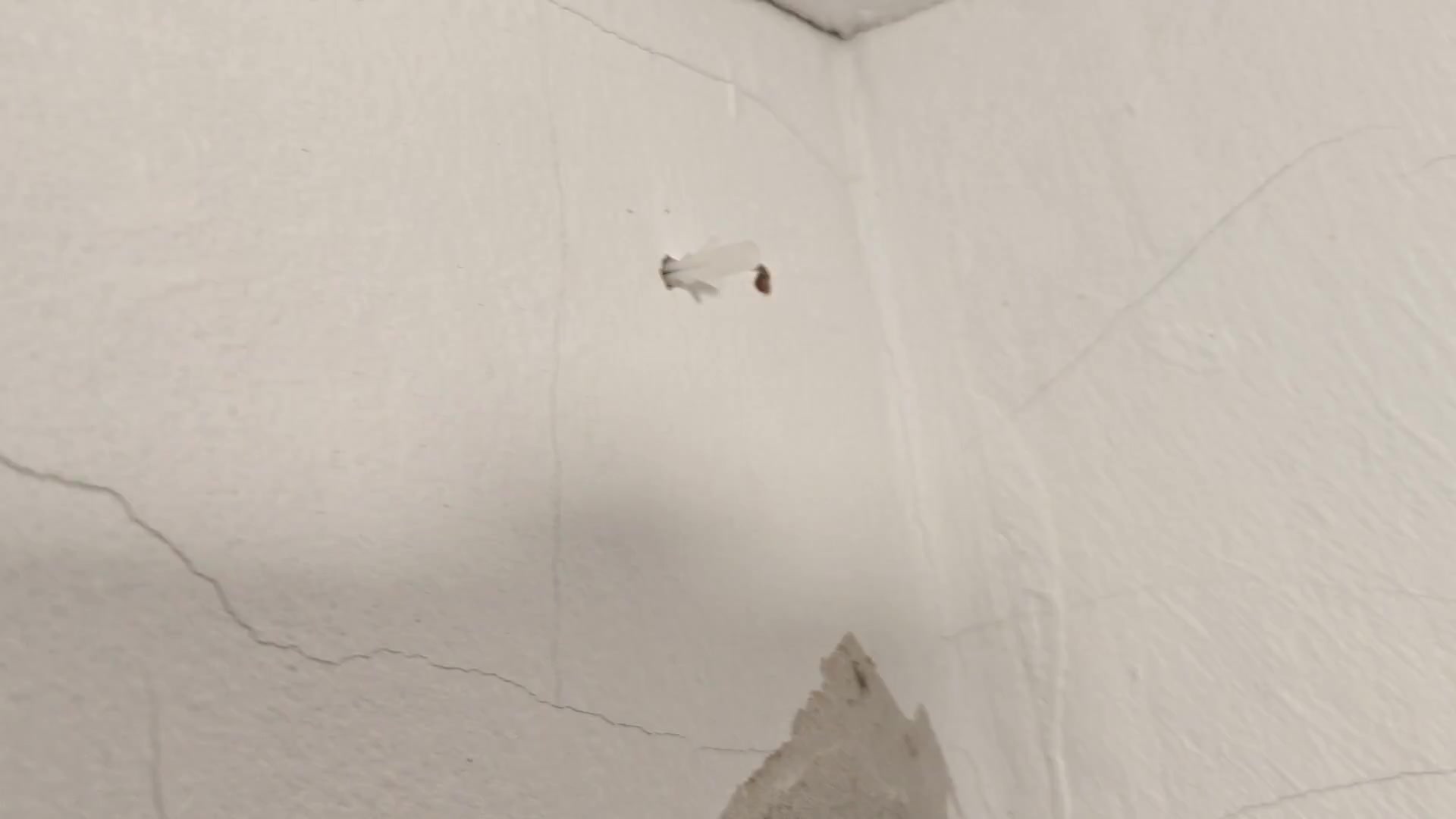 Tapping anchors firmly into the wall Tapping anchors firmly into the wall