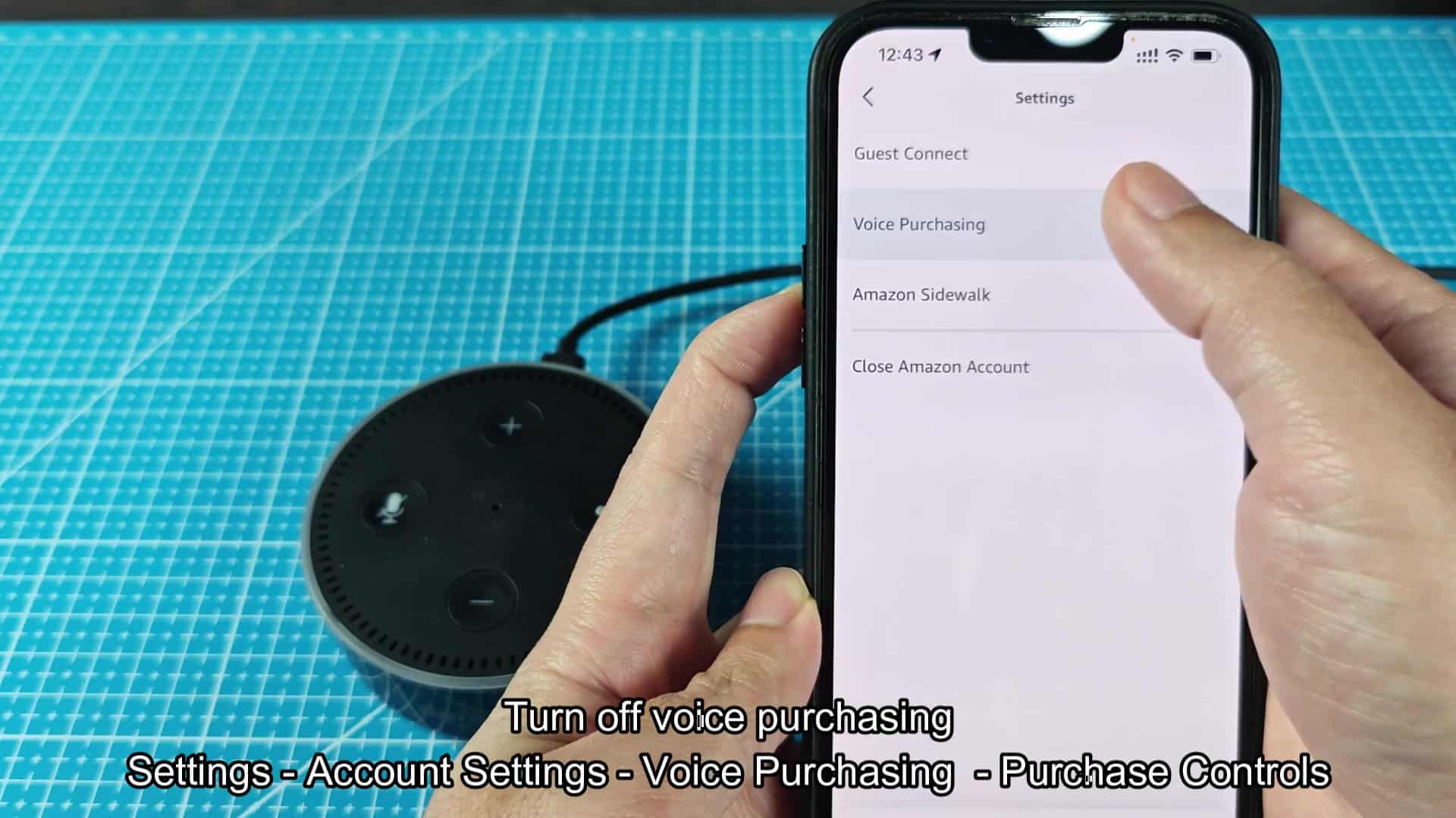 Voice purchasing account settings screen Voice purchasing account settings screen