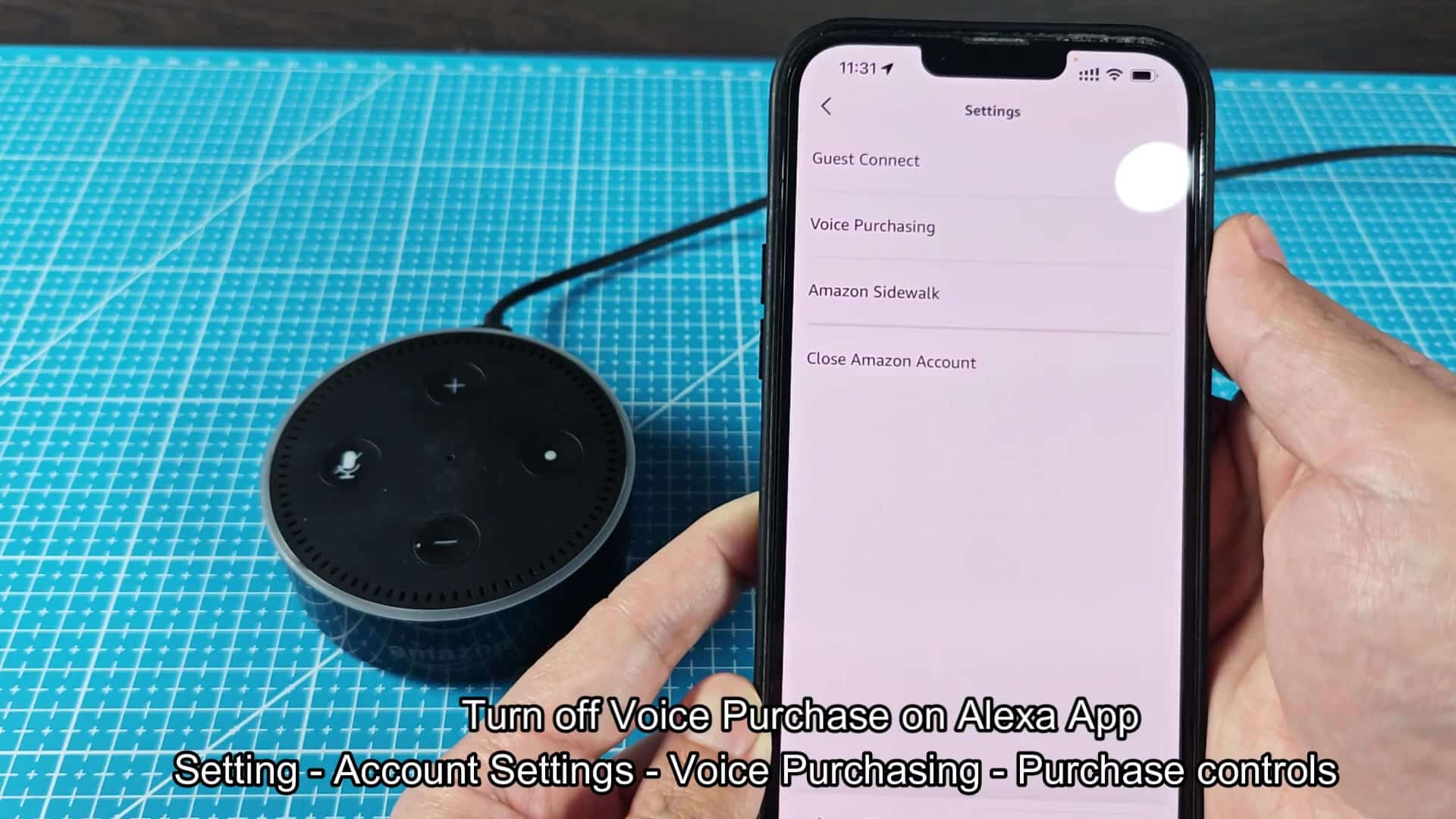 Voice Purchasing settings showing disabled status Voice Purchasing settings showing disabled status