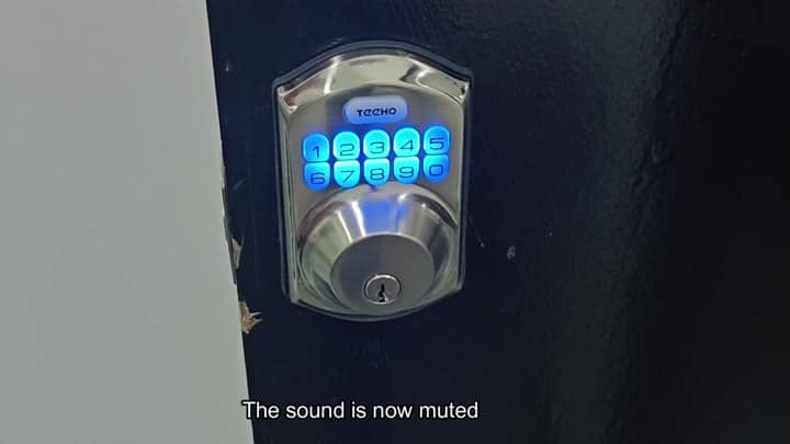 Teeho lock with sound successfully muted Teeho lock with sound successfully muted